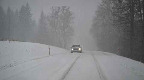 Prognozowana temperatura w kolejnych dniach