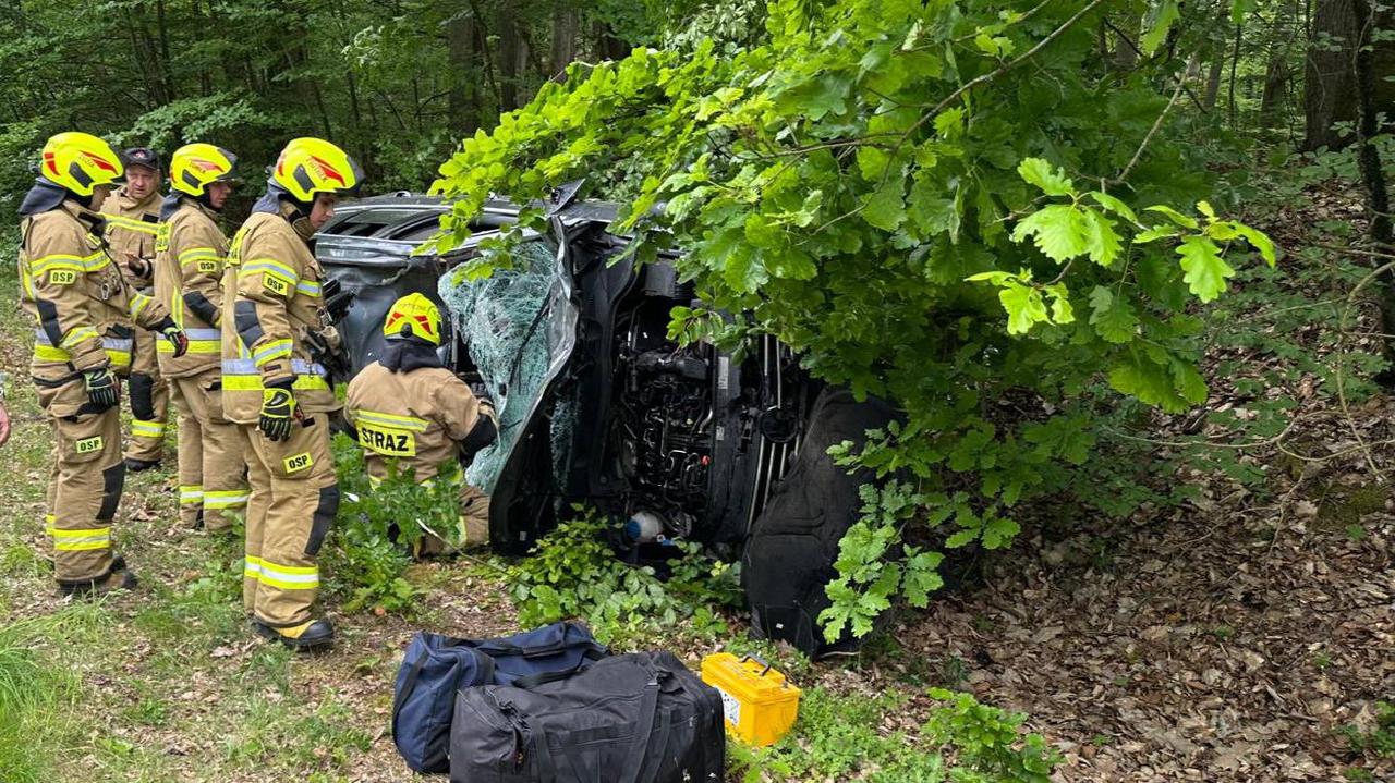 Samochód zderzył się z żubrem. Dwie osoby w szpitalu