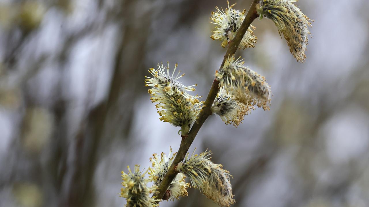 Pogoda na dziś - piątek, 10.04. Sporo słonecznych chwil, do 12 stopni