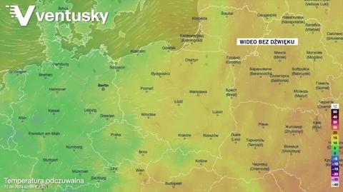 Prognozowana temperatura w kolejnych dniach