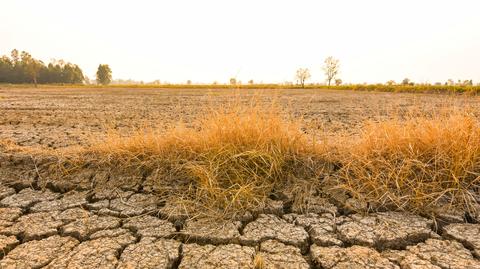 Michał Brennek o zmianach klimatycznych
