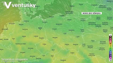 Prognozowana temperatura w kolejnych dniach 