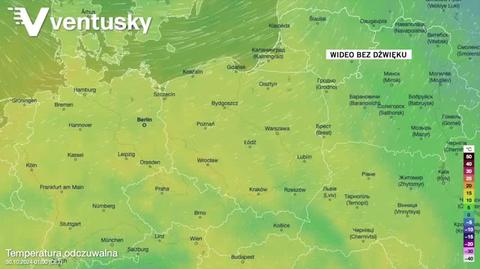 Prognozowana temperatura w kolejnych dniach 