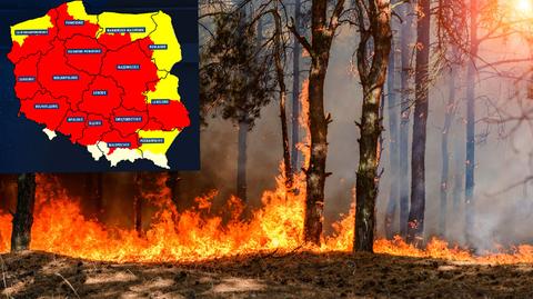 Bezpieczeństwo pożarowe w lesie