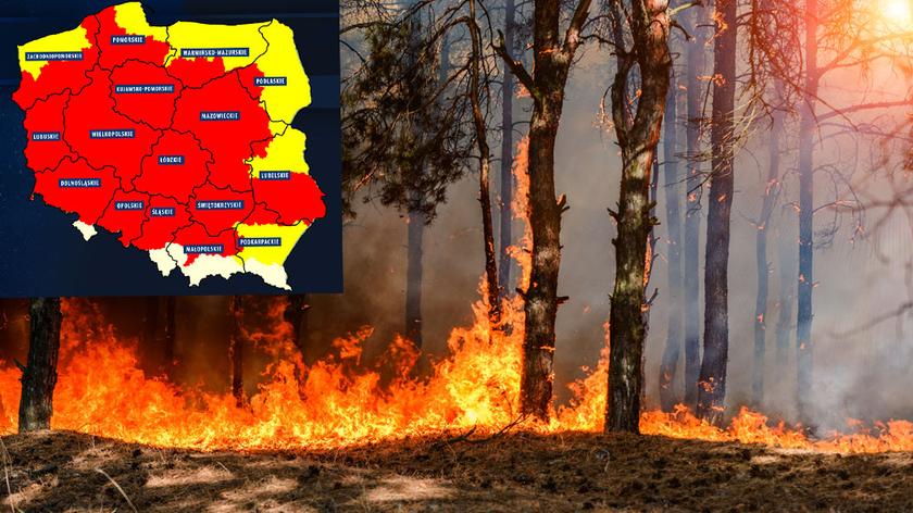Uwaga na pożary lasów