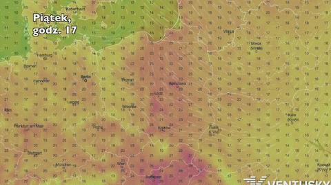 Temperatura w ciągu najlbliżyszch pięciu dniu (Ventusky.com)