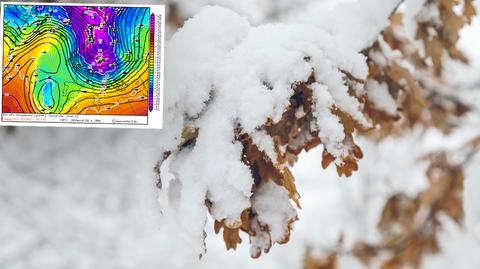 Prognozowana temperatura w kolejnych dniach