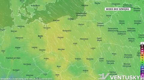 Prognozowana temperatura w kolejnych dniach