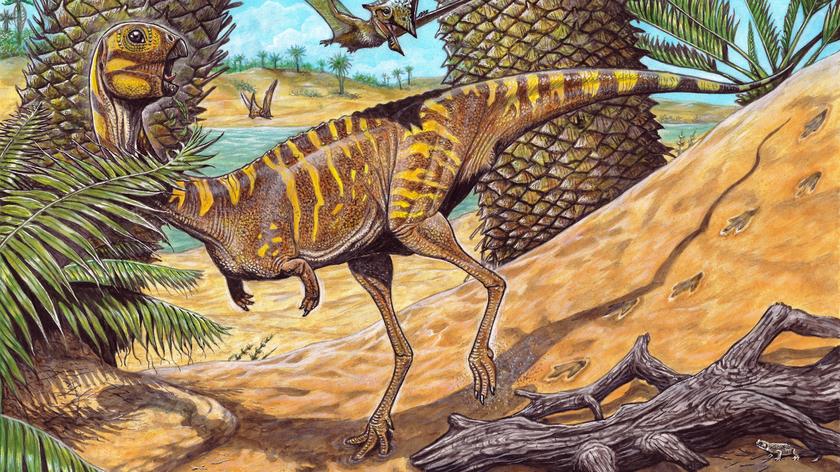 W Brazylii odkryto dinozaura 