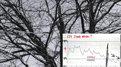 Polska w ciepłym wycinku niżu