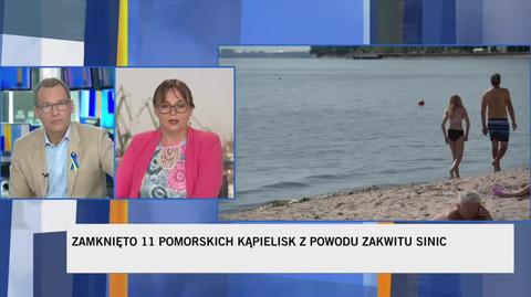 Sinice w Polsce. "Nie narażajmy siebie i dzieci na problemy zdrowotne"