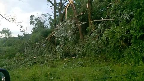 Film pokazujący przejście trąby powietrznej przez zabytkowy park dworski w Woli Gałęzowskiej