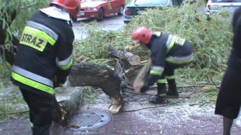 VIDEO Głogów Połamane drzewa - głogowscy strażacy mają pełne ręcę roboty  usuwaniu skutków nawałnicy