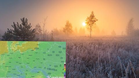 Prognozowana temperatura na kolejne dni