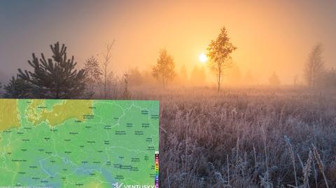 Prognozowana temperatura w kolejnych dniach