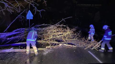 Warunki biometeo w niedzielę 28.04