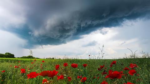 Chmury i walka ze zmianami klimatu