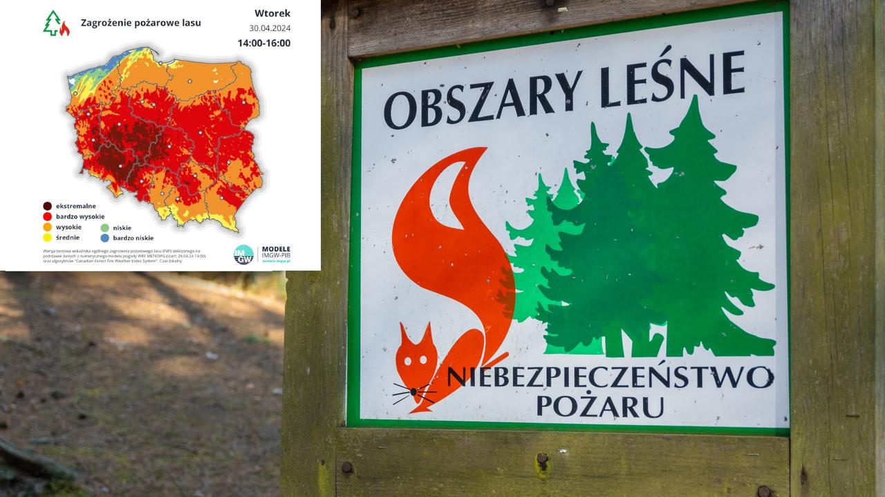 Mapa Polski pełna czerwieni i brązu