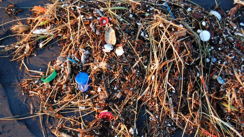 Wzrasta ilość śmieci w oceanach - materiał archiwalny