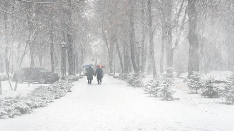 Prognozowana temperatura w dniach 20-24.01