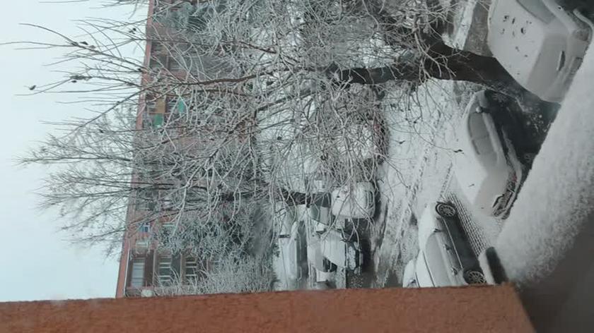 Śnieg w Jarosławiu