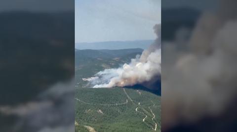 Pożary lasów w Turcji. Akcja gaśnicza w prowincji Bursa