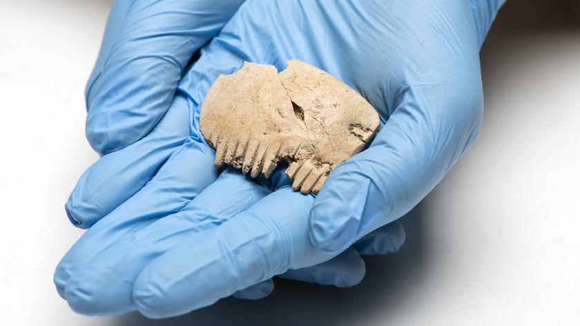 Grzebień z ludzkiej czaszki odnaleziony w Bar Hill