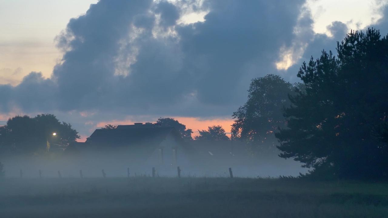 Tu gęsta mgła utrudni widzialność. IMGW wydał alarmy