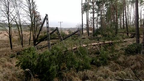 Niebezpieczna pogoda w niemal całym kraju - 21.02.2022