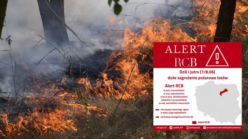 Ekstremalne zagrożenie pożarami w lasach. Relacja reporterki TVN24 z końca maja