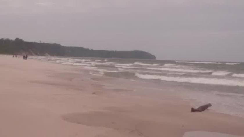 Władysławowo pomorskie sztorm na Bałtyku
