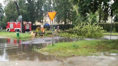 20.07.2017 Szczecin ul. Łukasińskiego po przejściu nawałnicy