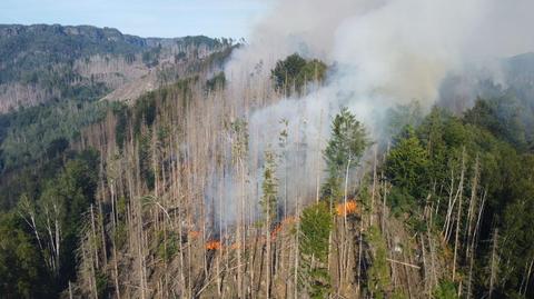 Pożar w parku narodowym w Czechach