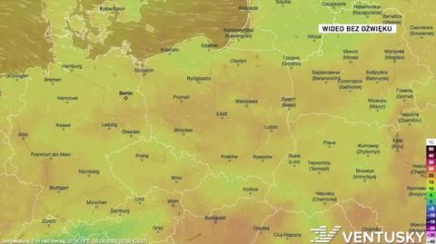 Prognozowana temperatura w kolejnych dniach