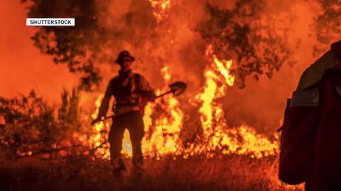 Pożary Kalifornii w 2020 roku (Shutterstock)