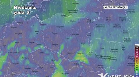 Prognozowane porywy wiatru w najbliższych dniach