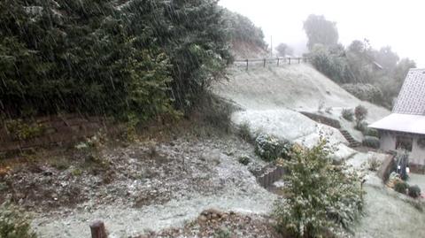 pierwszy śnieg w hinterzarten<poludnie niemiec>