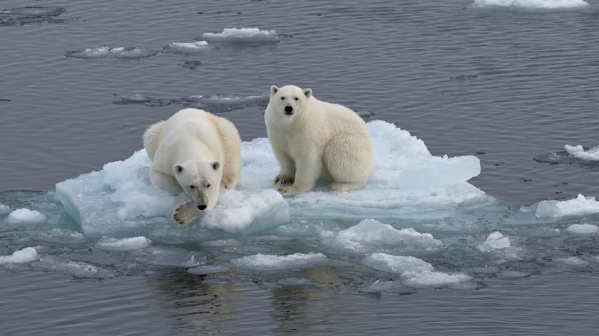 Topnienie lodu arktycznego w latach 2017-2019	