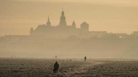 Jadwiga Emilewicz o rządowym programie "Stop Smog"