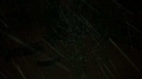 10 cm śniegu w Łanach Wielkich koło Gliwic