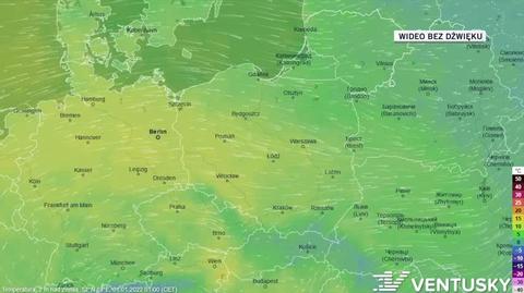 Prognozowana temperatura w ciągu kolejnych dni