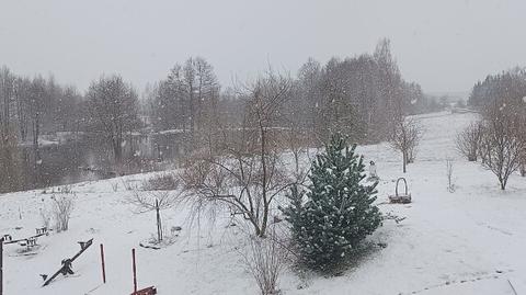 Opady śniegu we wtorek w Gołdapi
