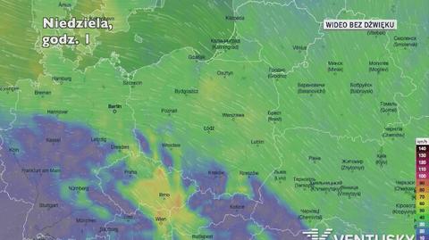 Prognozowane porywy wiatru w ciągu najbliższych dni (Ventusky.com)