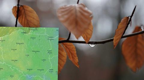 Prognozowana temperatura w kolejnych dniach