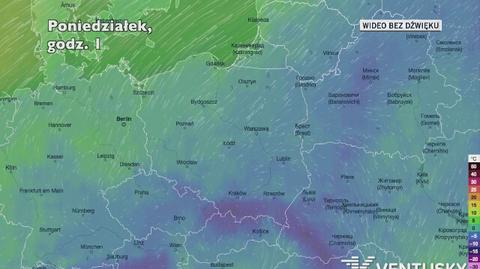 Prognozowana temperatura w kolejnych dniach