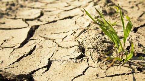 Opady a zmiany klimatu