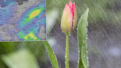 Prognoza temperatury na kolejne dni