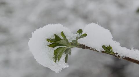 Prognoza pogody na środę