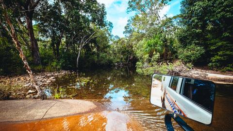 Australia: krokodyl miał zaatakować wędkarza na polu kempingowym Kennedy Bend