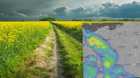 Prognoza temperatury na okres 25-29.04